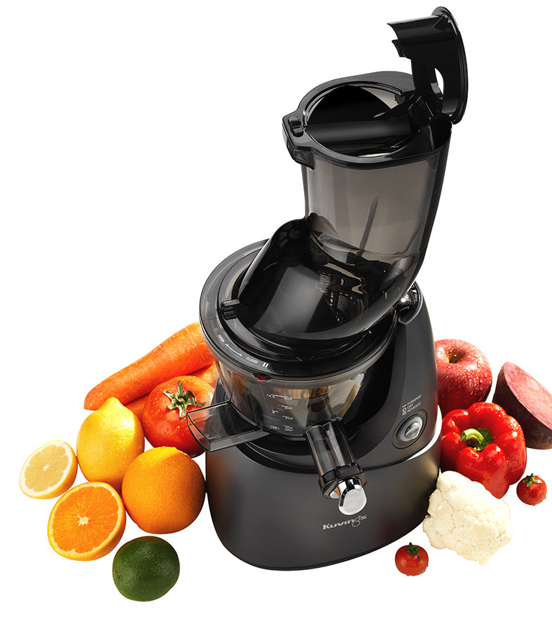 B8200 Whole Slow Juicer